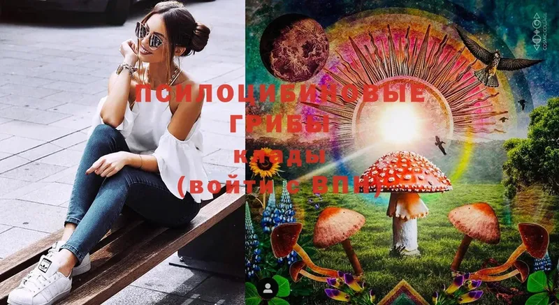 кракен вход  Кызыл  Галлюциногенные грибы Cubensis 